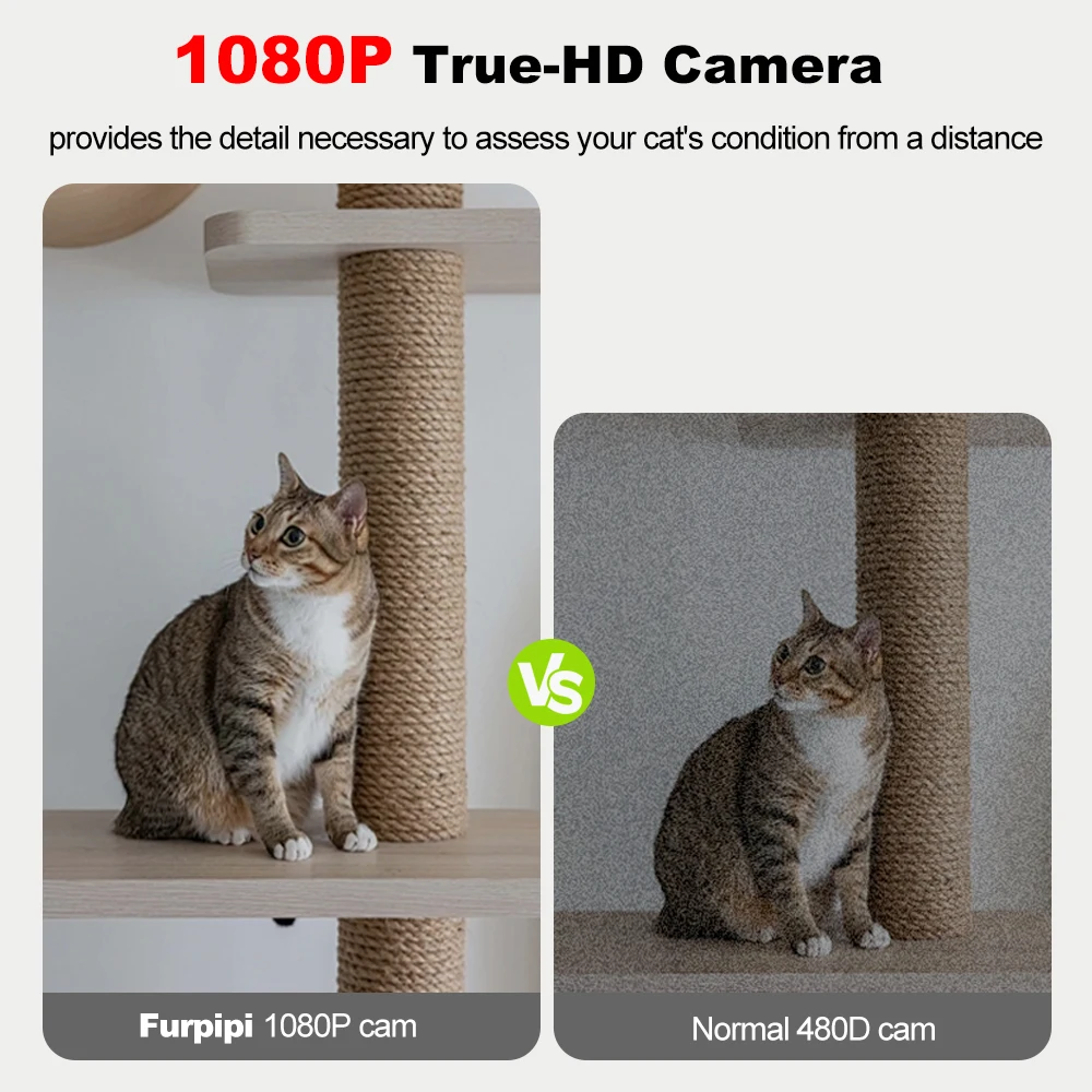 AI-Powered Smart Pet Feeder