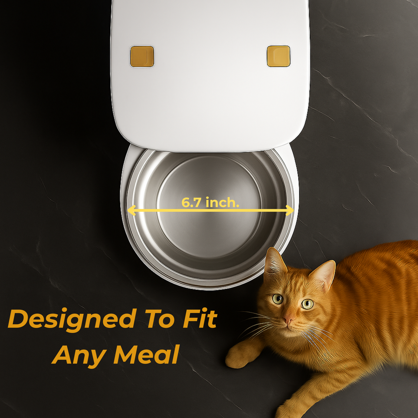 AI-Powered Smart Pet Feeder